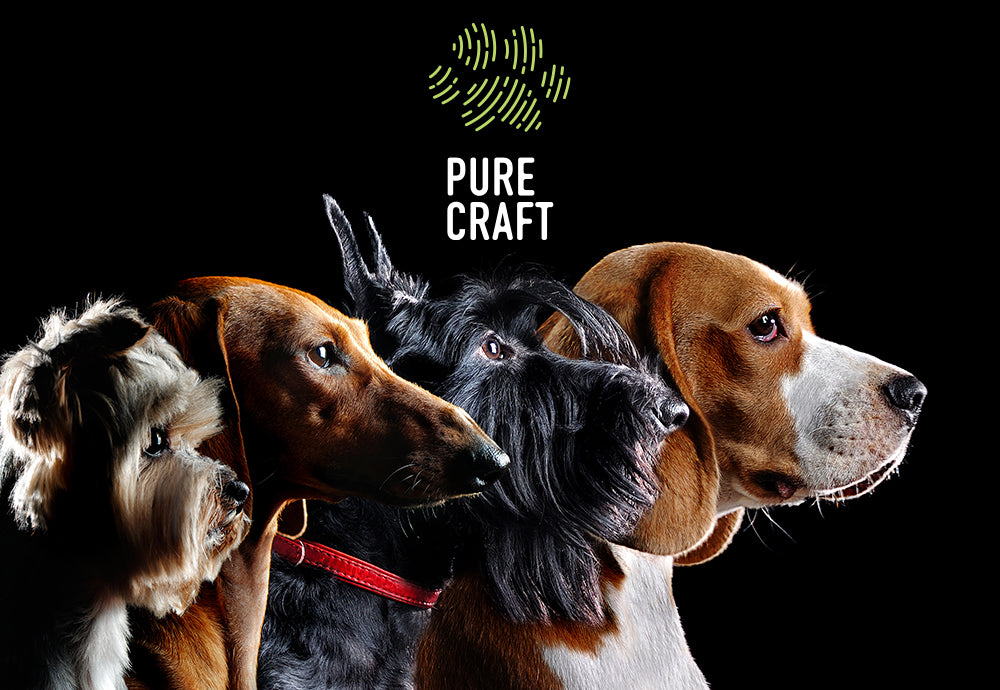 7 Amazing Benefits of CBD for Pets | Pure Craft CBD Oil