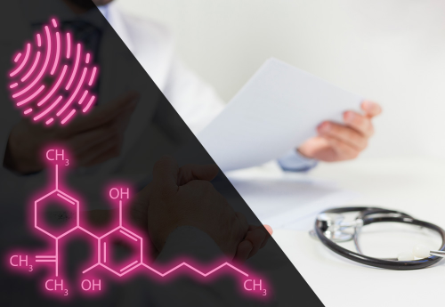 Medical vs Personal/Recreational CBD Use in Randolph, New Jersey