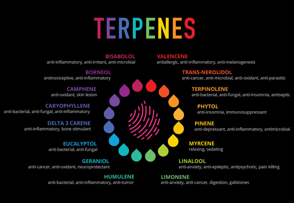 Terpenes terpenes