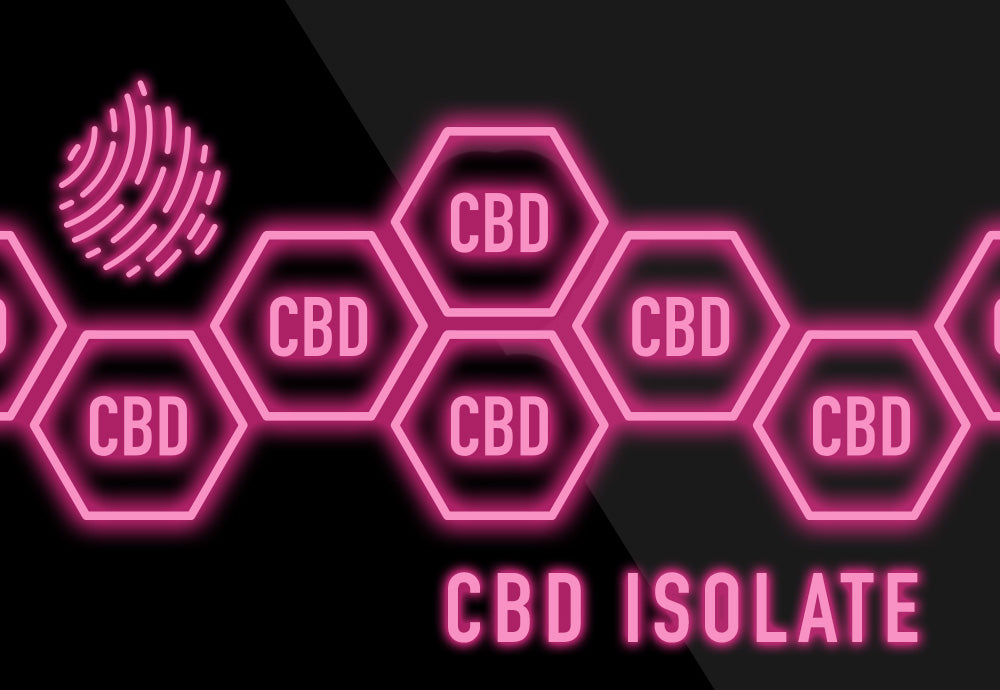 CBD Isolate [Definitive Guide]