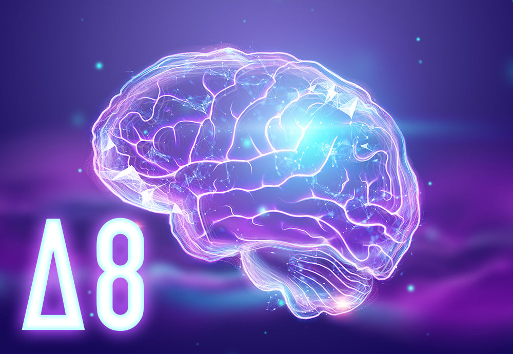 D8 & Your Brain
