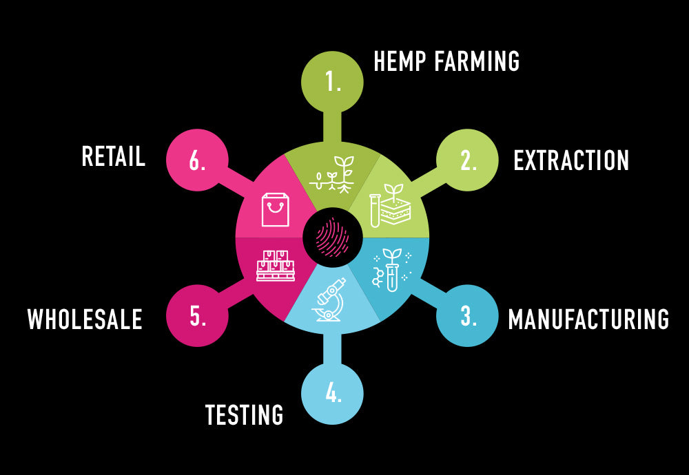 CBD Supply Chain – How It All Works