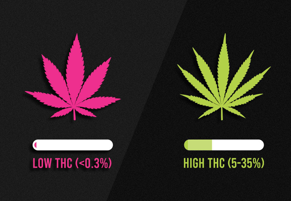 0.3%, the Magic Number: What This THC Threshold Is All About