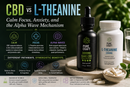 CBD vs L-Theanine: Calm Focus, Anxiety, and the Alpha Wave Mechanism | PureCraft CBD