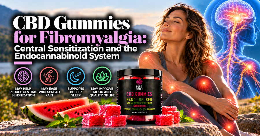 CBD Gummies for Fibromyalgia: Central Sensitization and the Endocannabinoid System