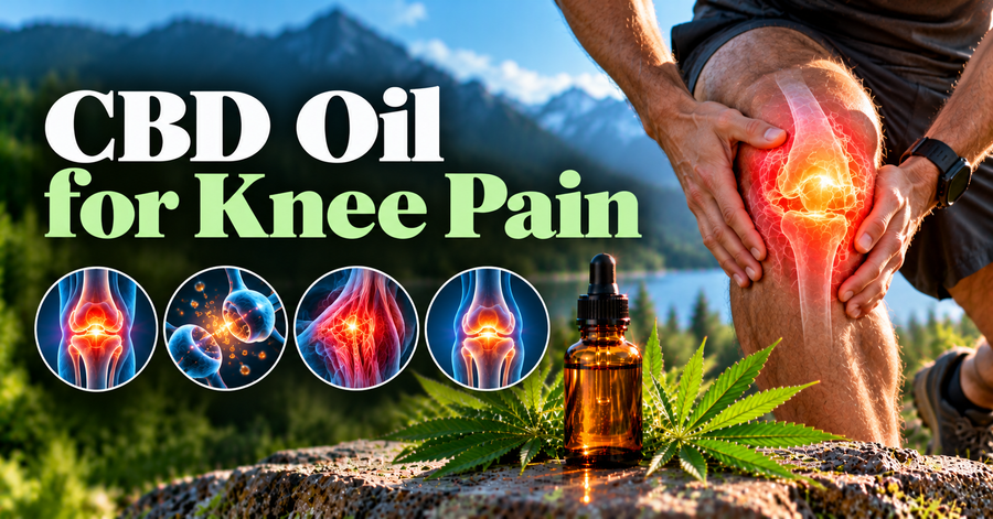 CBD Oil for Knee Pain: What the Science Says