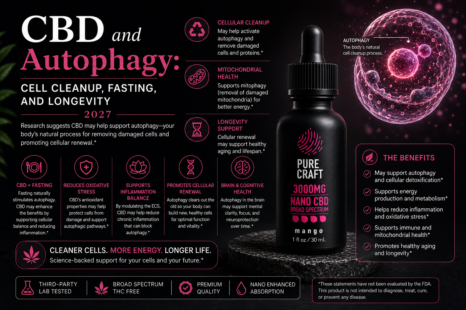 CBD and Autophagy: Cell Cleanup, Fasting, and Longevity 2027 | PureCraft CBD