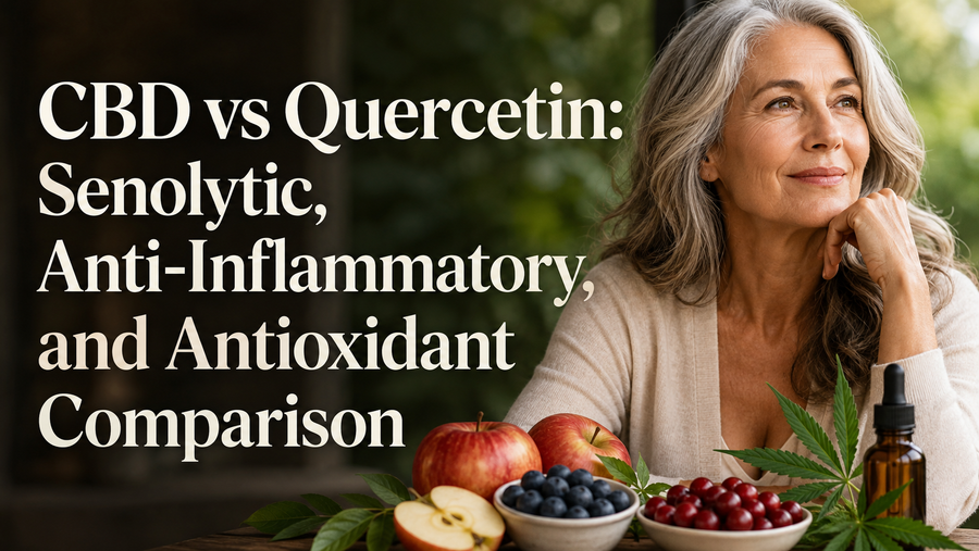 CBD vs Quercetin: Senolytic, Anti-Inflammatory, and Antioxidant Comparison | PureCraft CBD