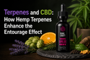 Terpenes and CBD: How Hemp Terpenes Enhance the Entourage Effect | PureCraft CBD