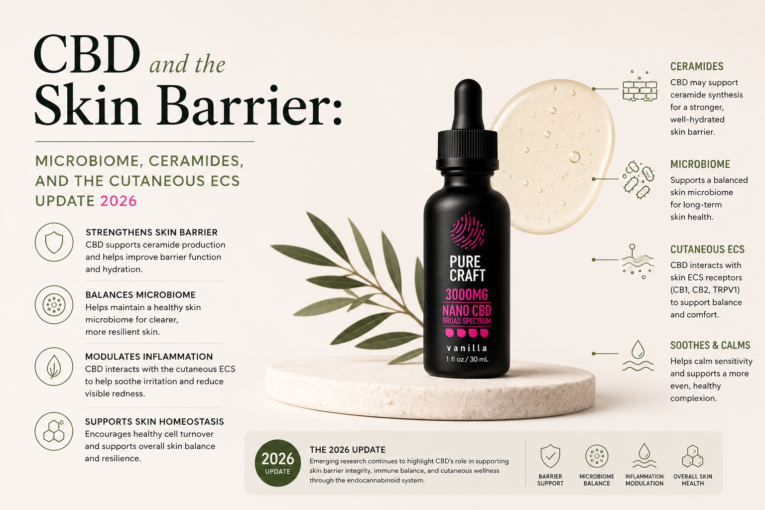 CBD and the Skin Barrier: Microbiome, Ceramides, and the Cutaneous ECS Update 2026 | PureCraft CBD