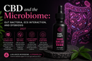 CBD and the Microbiome: Gut Bacteria, ECS Interaction, and Dysbiosis 2027 | PureCraft CBD