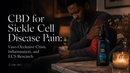 CBD for Sickle Cell Disease Pain: Vaso-Occlusive Crisis, Inflammation, and ECS Research | PureCraft CBD