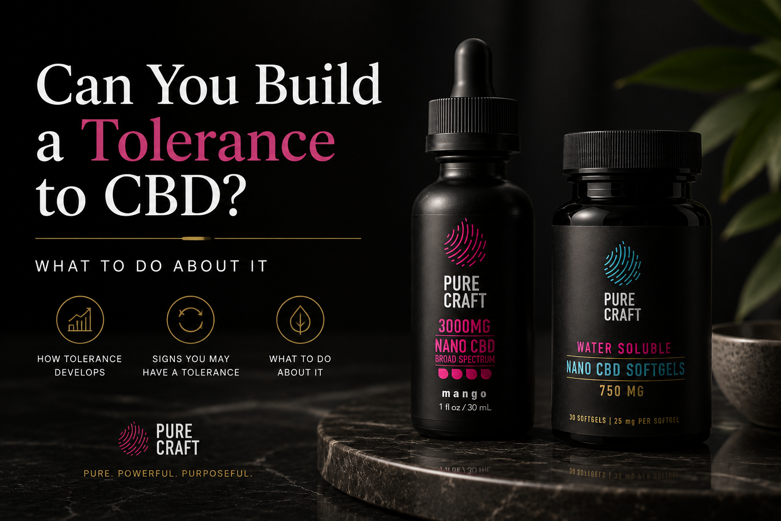 Can You Build a Tolerance to CBD? What to Do About It | PureCraft CBD