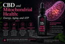 CBD and Mitochondrial Health: Energy, Aging, and ATP 2027 | PureCraft CBD