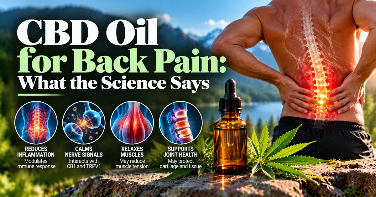 CBD Oil for Back Pain: What the Science Says