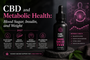 CBD and Metabolic Health: Blood Sugar, Insulin, and Weight 2027 | PureCraft CBD
