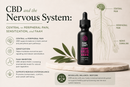 CBD and the Nervous System: Central vs Peripheral Pain, Sensitization, and FAAH | PureCraft CBD