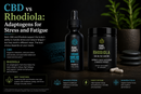 CBD vs Rhodiola: Adaptogens for Stress and Fatigue | PureCraft CBD