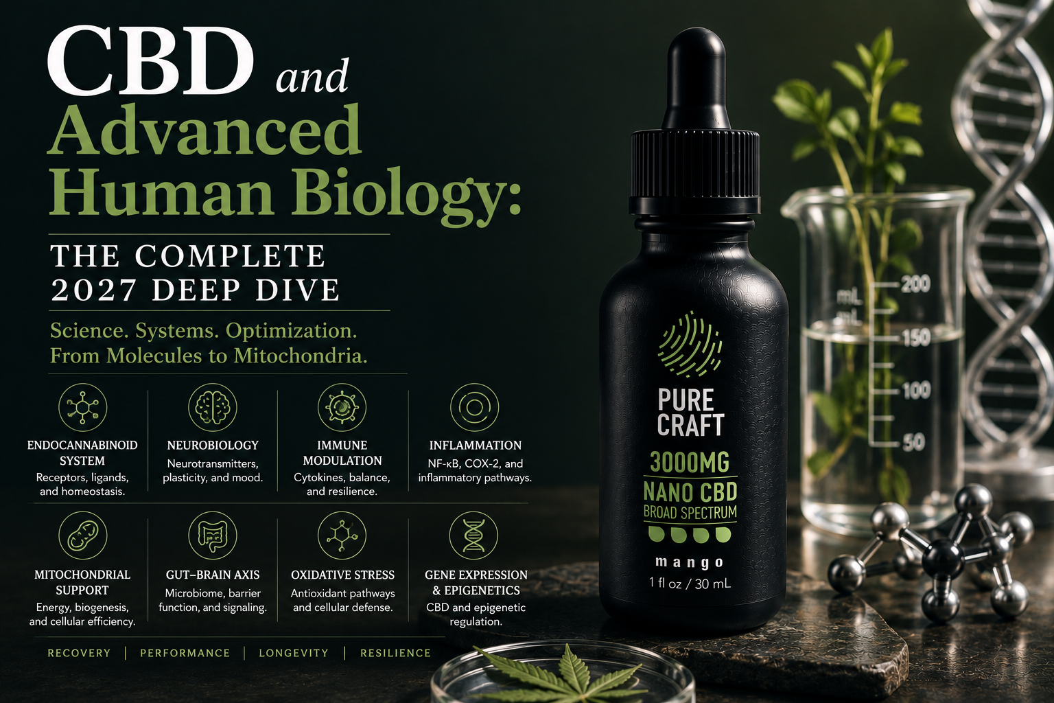 CBD and Advanced Human Biology: The Complete 2027 Deep Dive | PureCraft CBD