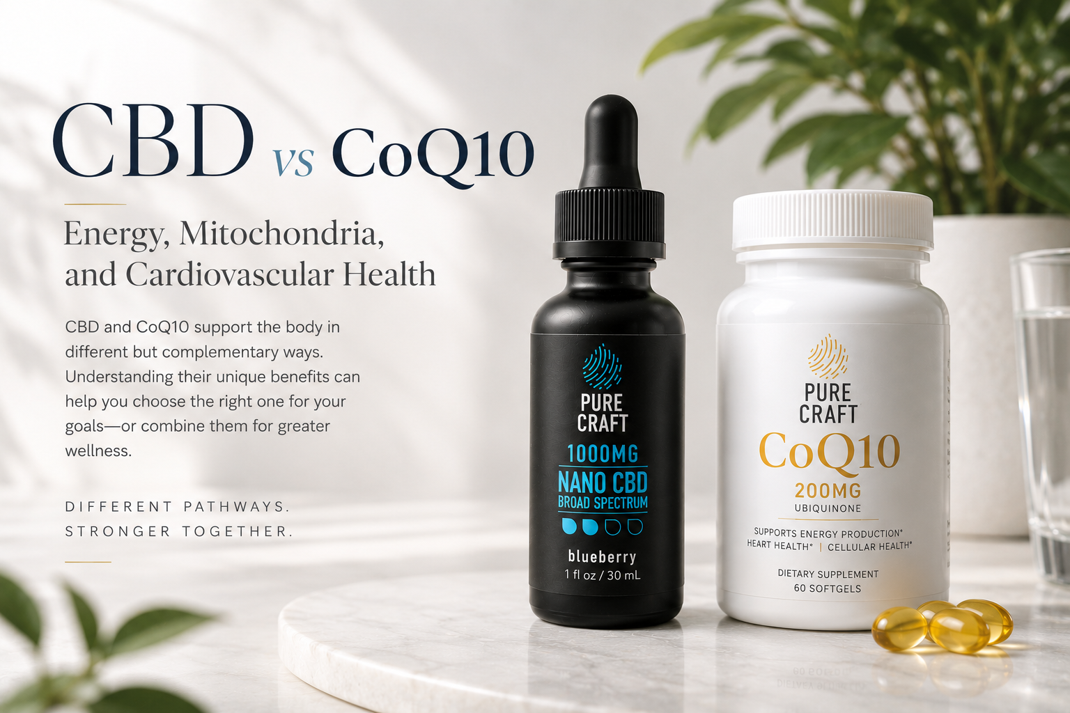 CBD vs CoQ10: Energy, Mitochondria, and Cardiovascular Health | PureCraft CBD