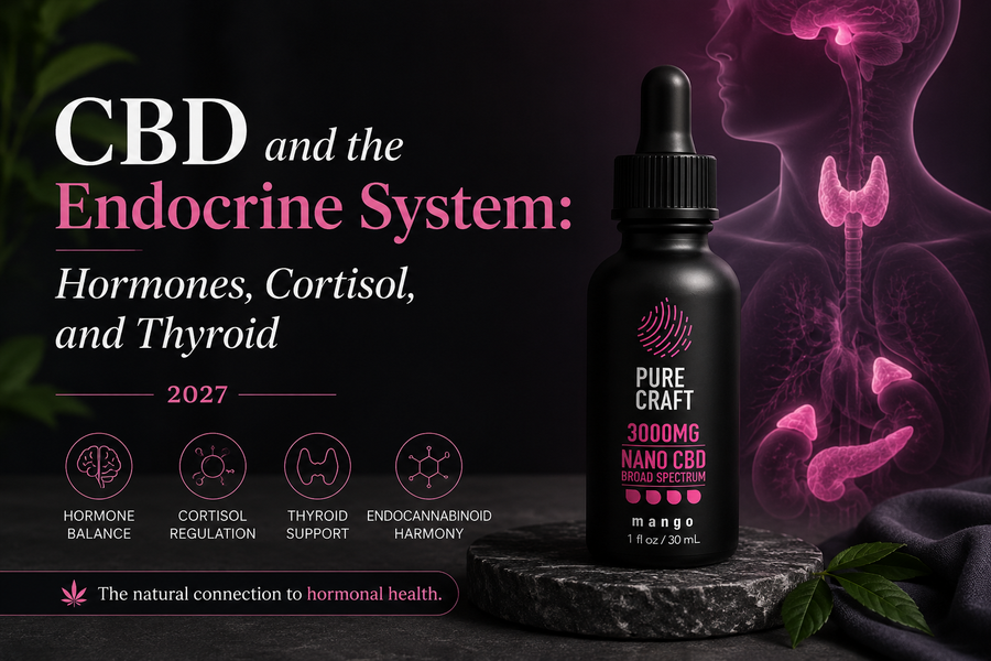 CBD and the Endocrine System: Hormones, Cortisol, and Thyroid 2027 | PureCraft CBD