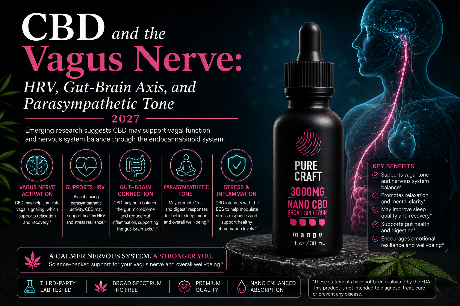 CBD and the Vagus Nerve: HRV, Gut-Brain Axis, and Parasympathetic Tone 2027 | PureCraft CBD