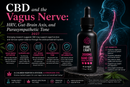CBD and the Vagus Nerve: HRV, Gut-Brain Axis, and Parasympathetic Tone 2027 | PureCraft CBD