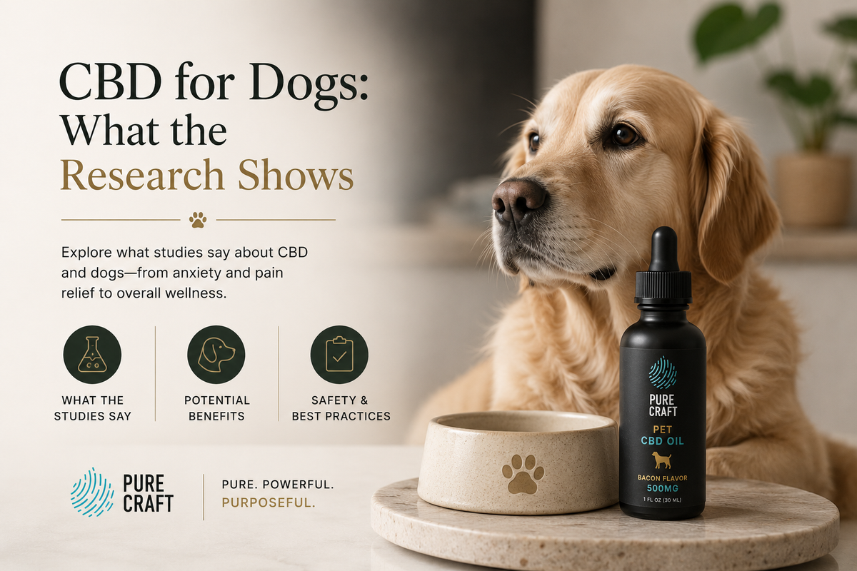 CBD for Dogs: What the Research Shows | PureCraft CBD
