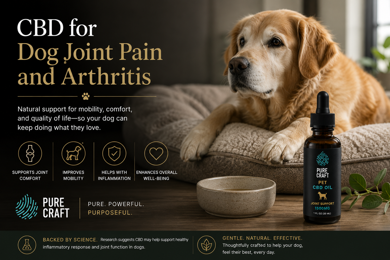 CBD for Dog Joint Pain and Arthritis | PureCraft CBD