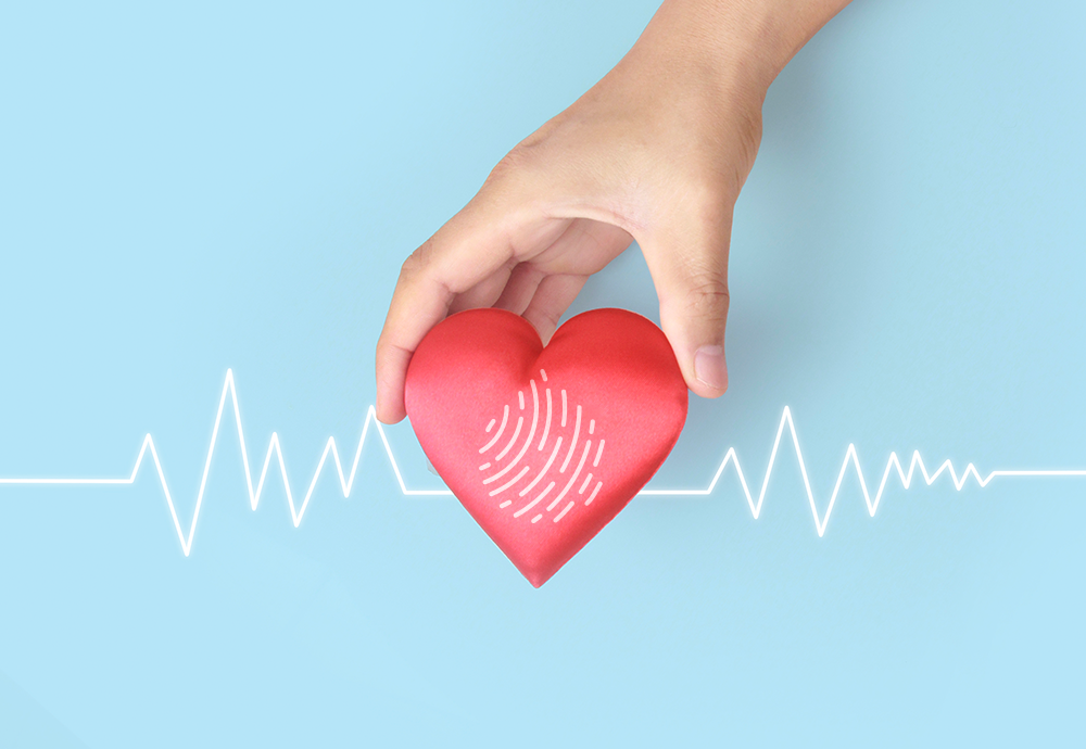 CBD: How It Affects Heart Health