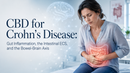 CBD for Crohn's Disease: Gut Inflammation, the Intestinal ECS, and the Bowel-Brain Axis | PureCraft CBD