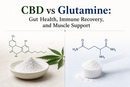 CBD vs Glutamine: Gut Health, Immune Recovery, and Muscle Support | PureCraft CBD