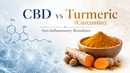 CBD vs Turmeric (Curcumin): Anti-Inflammatory Showdown | PureCraft CBD