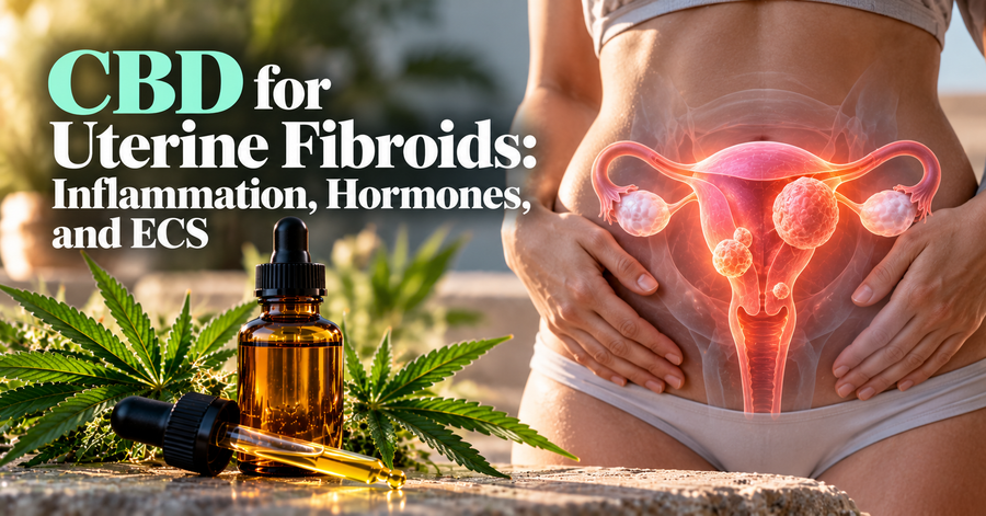 CBD for Uterine Fibroids: Inflammation, Hormones, and ECS | PureCraft CBD