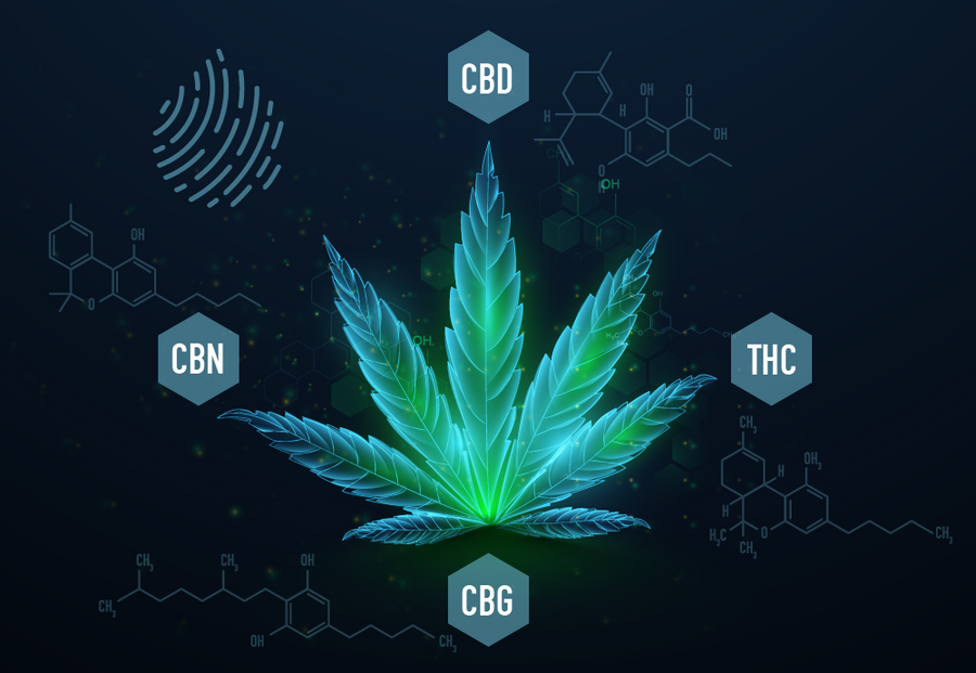 Full-Spectrum CBD In Depth