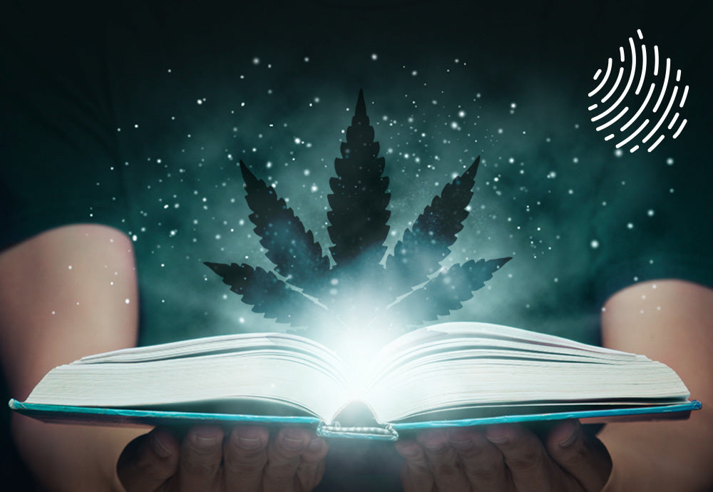 Hit These: 9 Books About Weed, Hemp & CBD For A Well-Rounded Cannabis Education