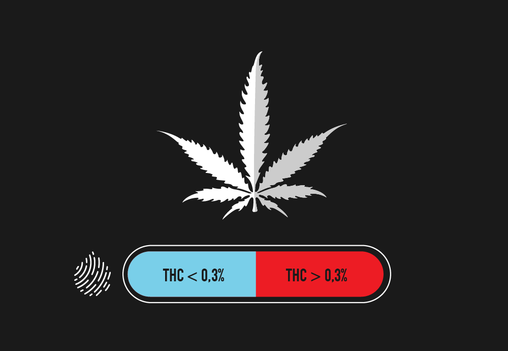 What's "Hot" Hemp?