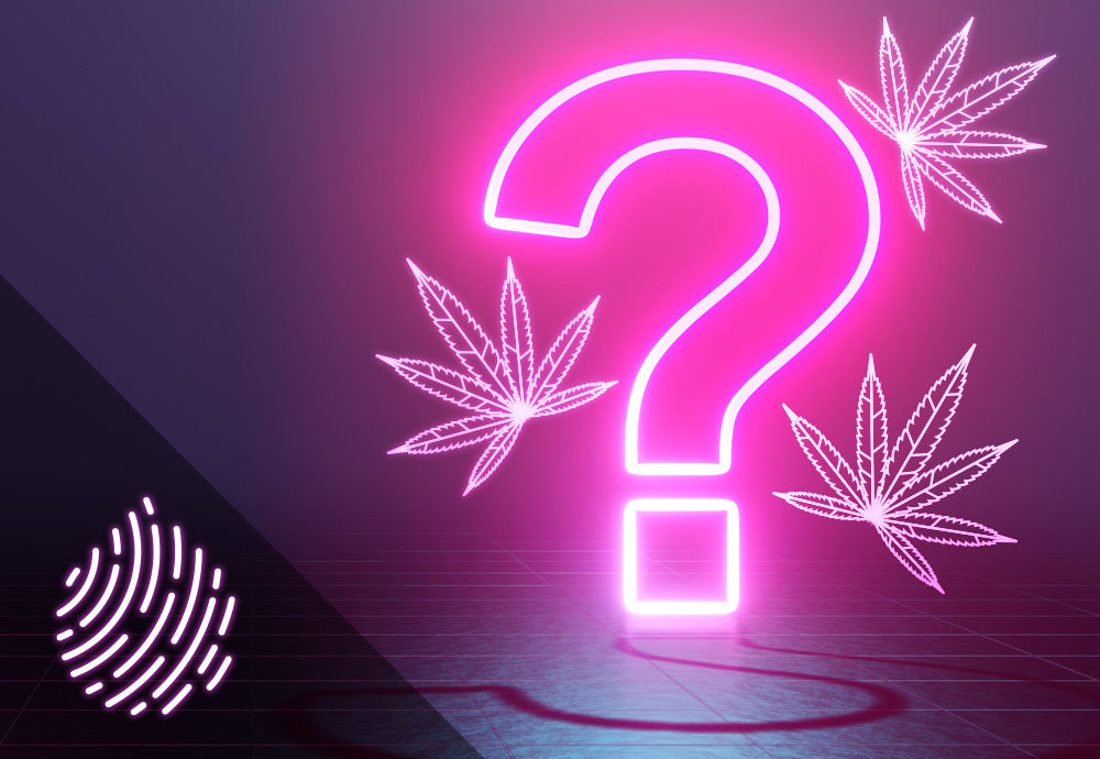 The Cannabliss Quiz: Which Form Of Cannabis Is Right For You?