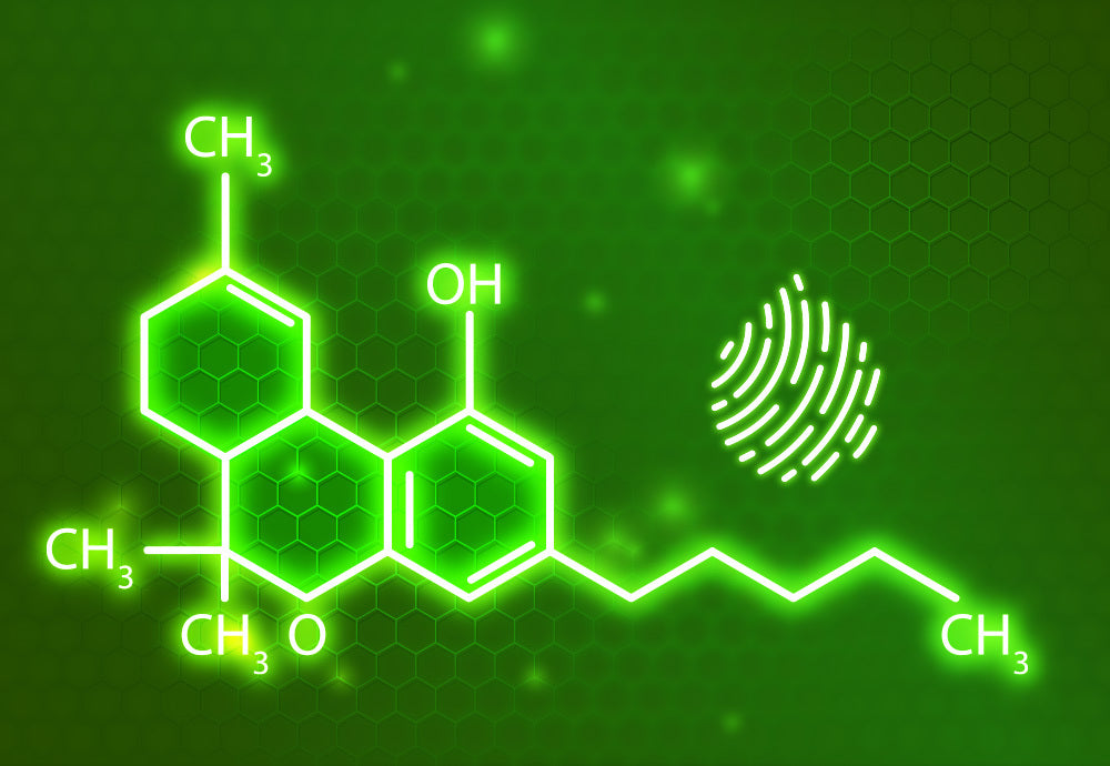 CBD for Arthritis: Evidence, Dosage & Best Products | PureCraft CBD